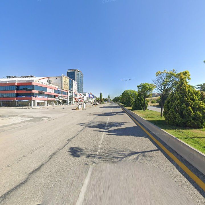 Fotoğraf 11