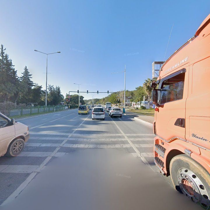 Fotoğraf 11