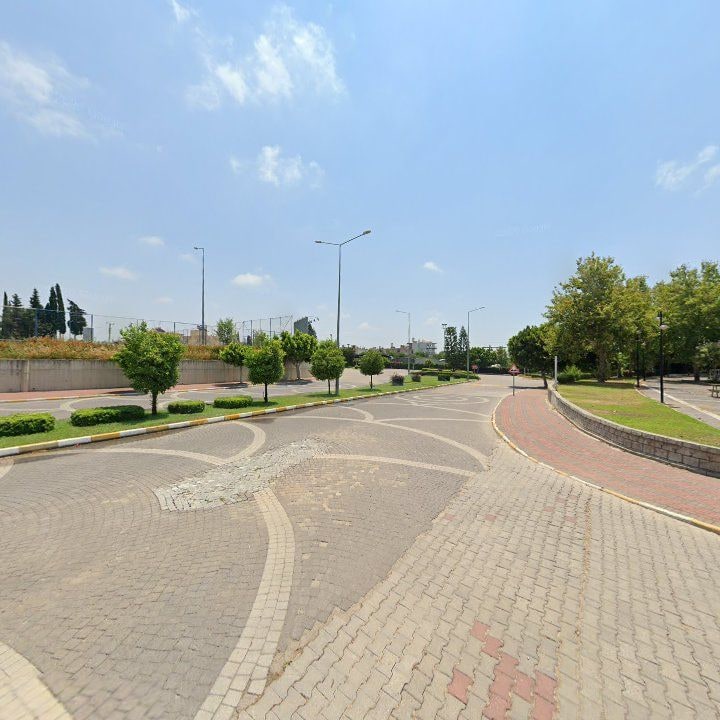 Fotoğraf 12