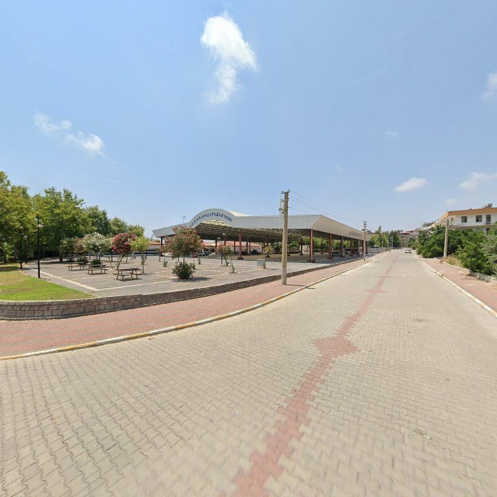 Fotoğraf 9