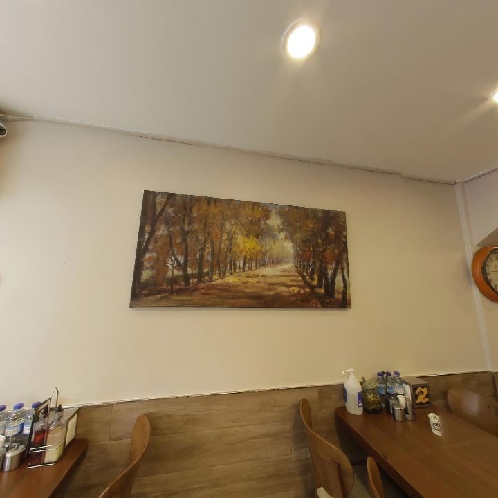 Fotoğraf 12