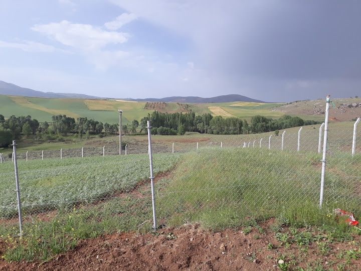 Esen Bahçe