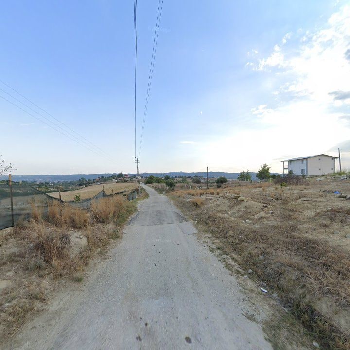 Fotoğraf 10