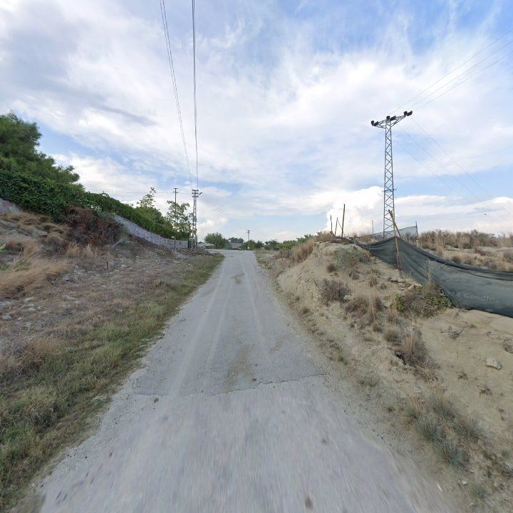 Fotoğraf 8