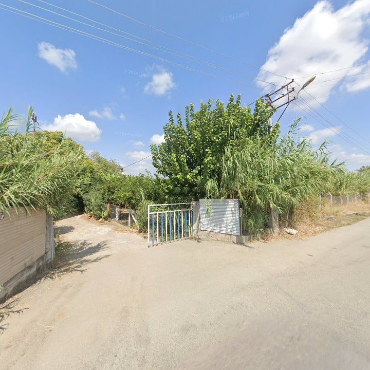 Fotoğraf 6