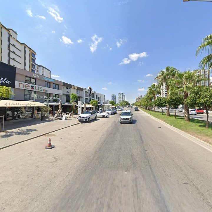 Fotoğraf 8