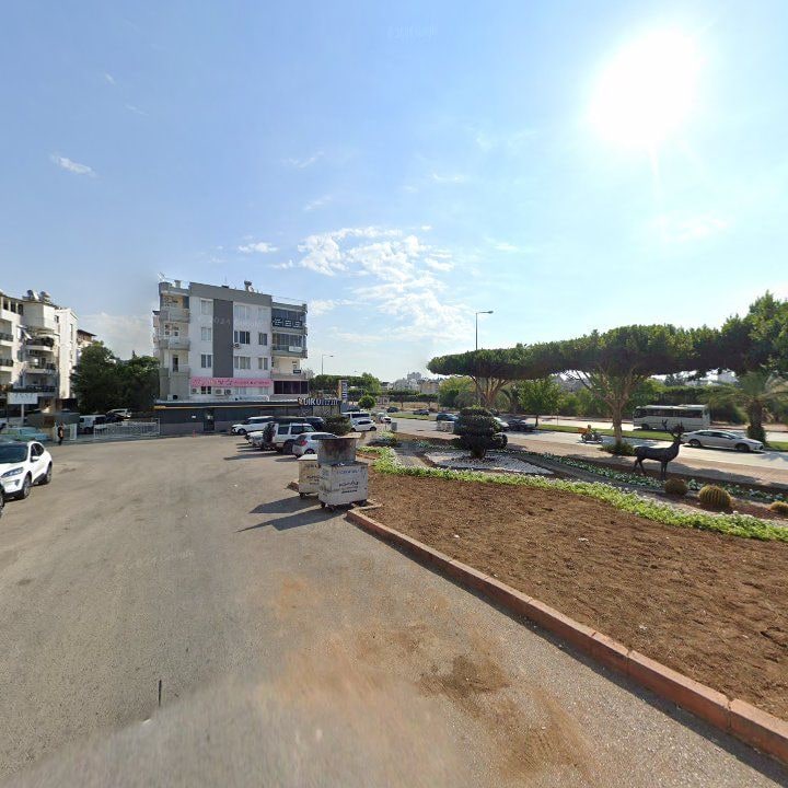 Fotoğraf 6