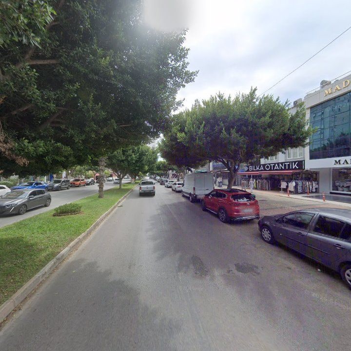 Fotoğraf 8