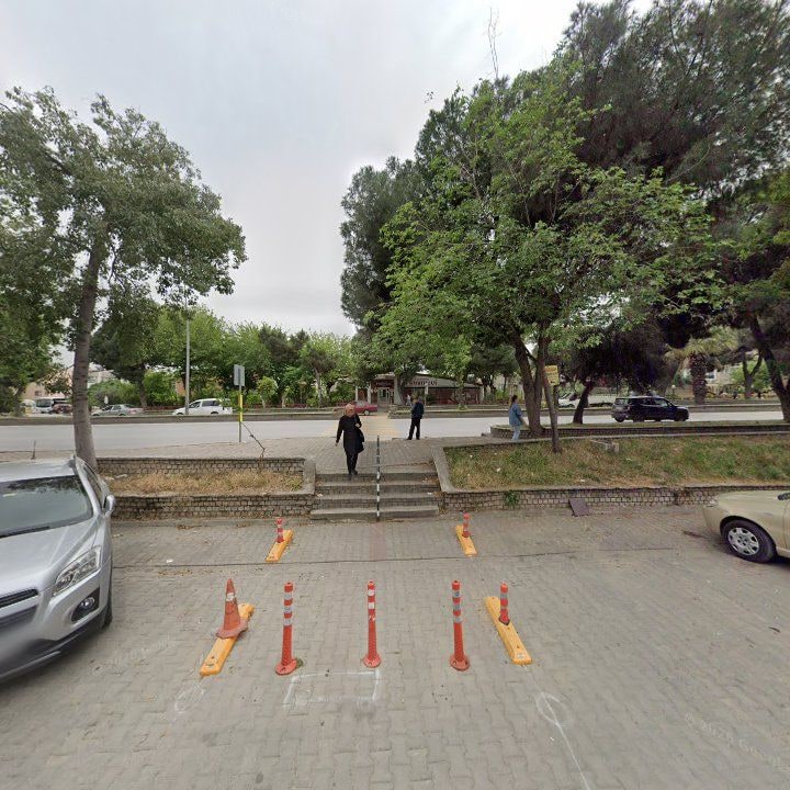 Fotoğraf 6