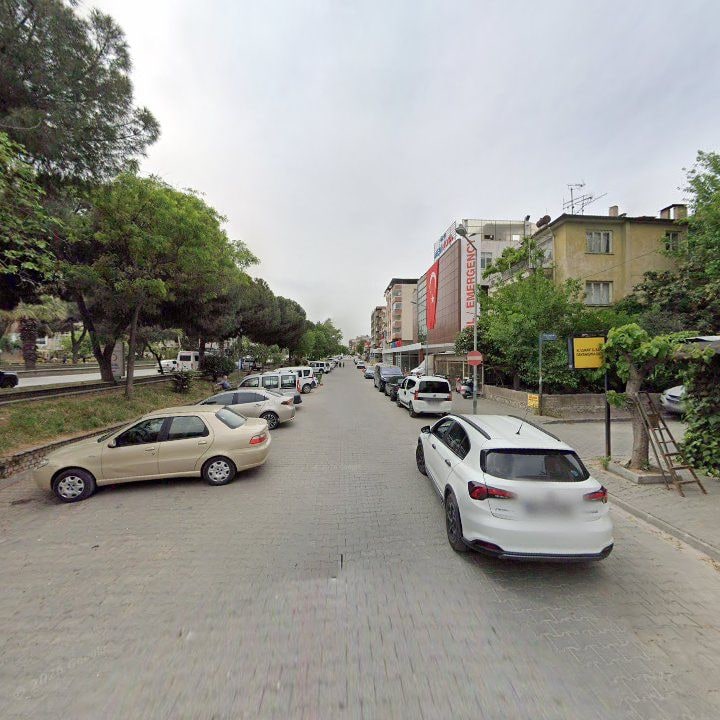 Fotoğraf 7