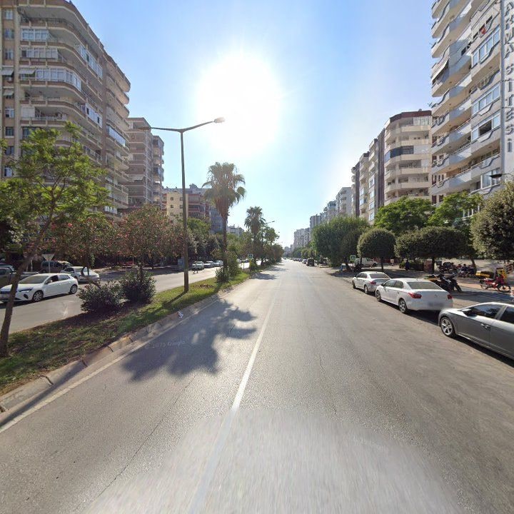 Fotoğraf 8