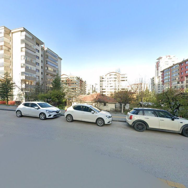 Fotoğraf 15