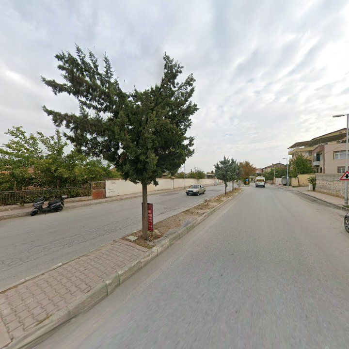 Fotoğraf 9
