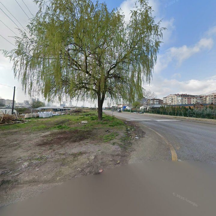 Fotoğraf 11