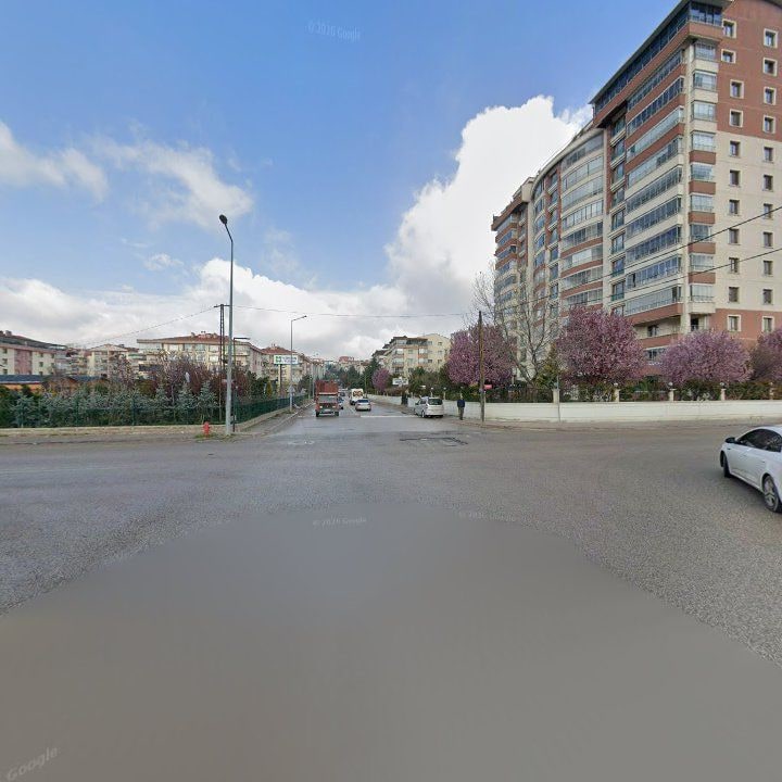 Fotoğraf 12