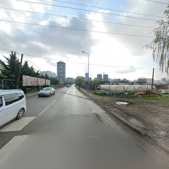 Fotoğraf 10