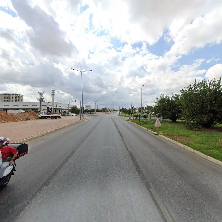 Fotoğraf 3
