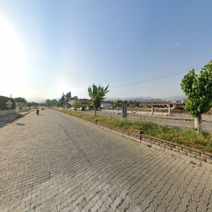 Fotoğraf 8