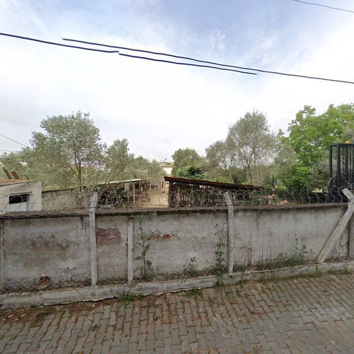 Fotoğraf 10