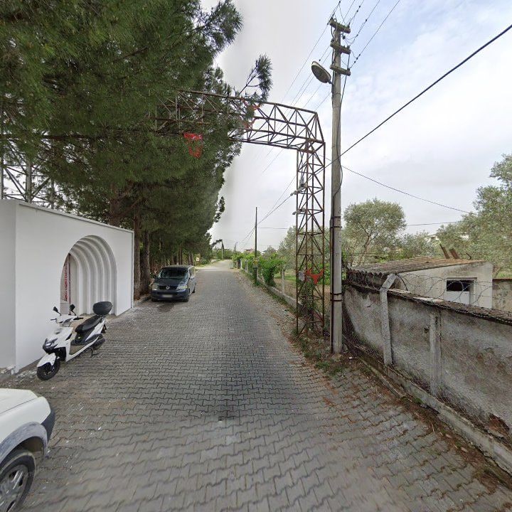 Fotoğraf 9