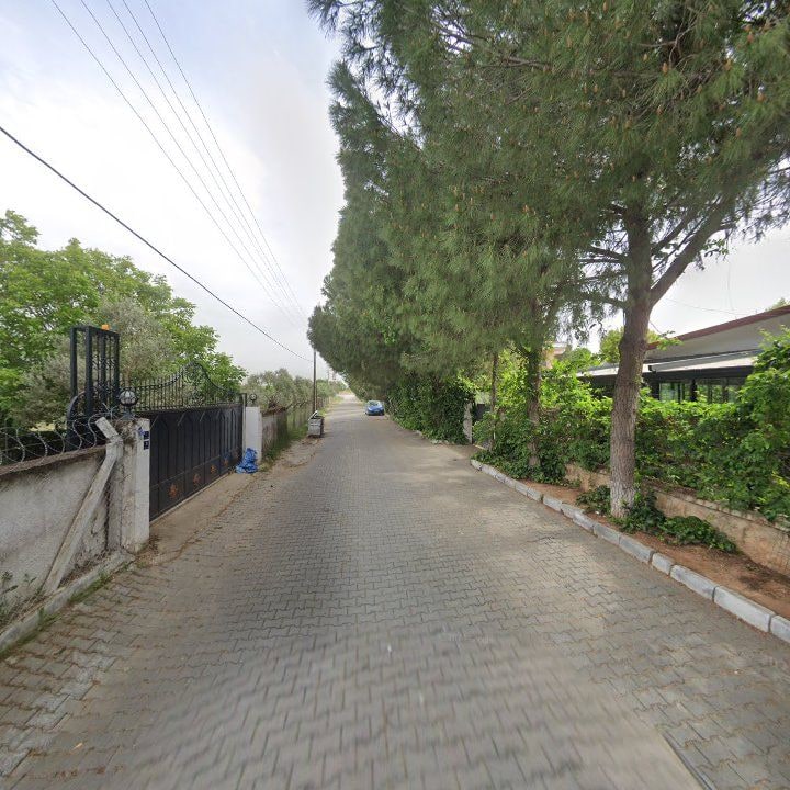 Fotoğraf 11