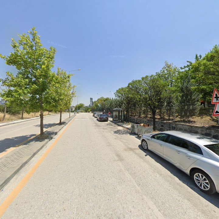 Fotoğraf 15