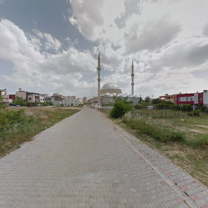Fotoğraf 7