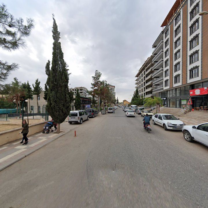 Fotoğraf 8