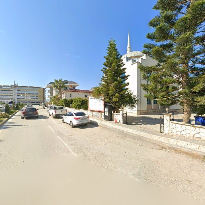 Fotoğraf 5