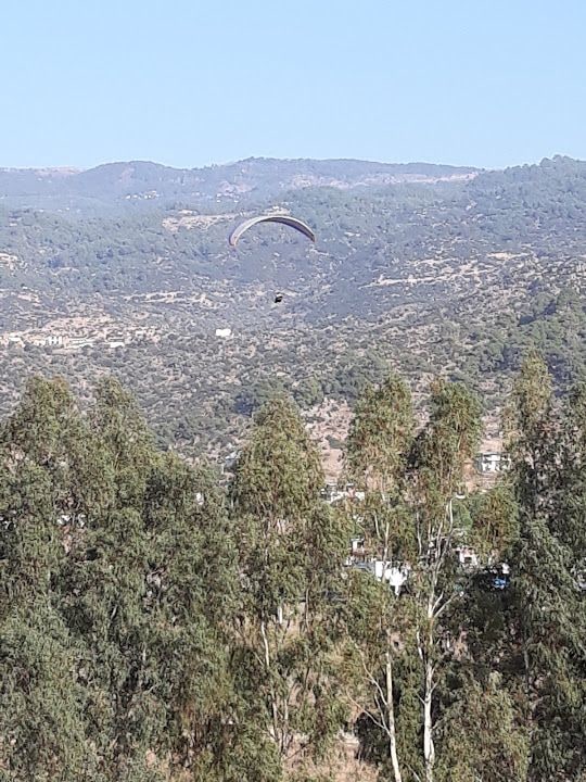 Evciler Mahallesi