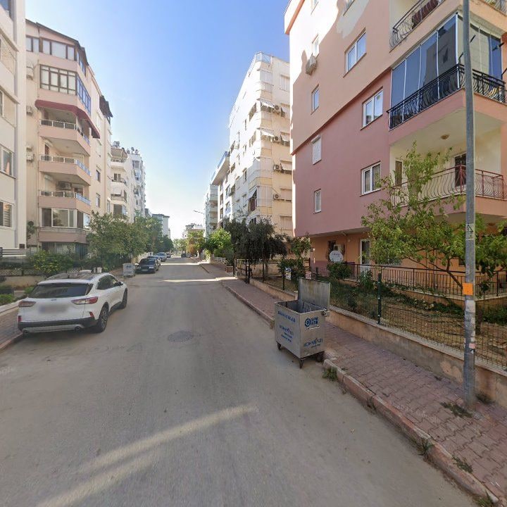 Fotoğraf 11