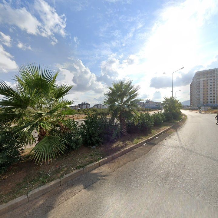 Fotoğraf 11