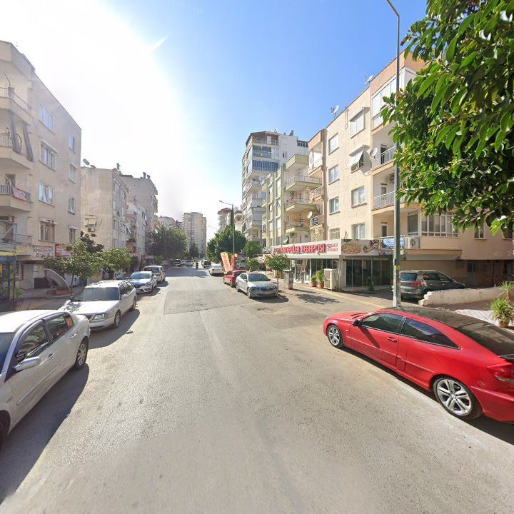 Fotoğraf 10