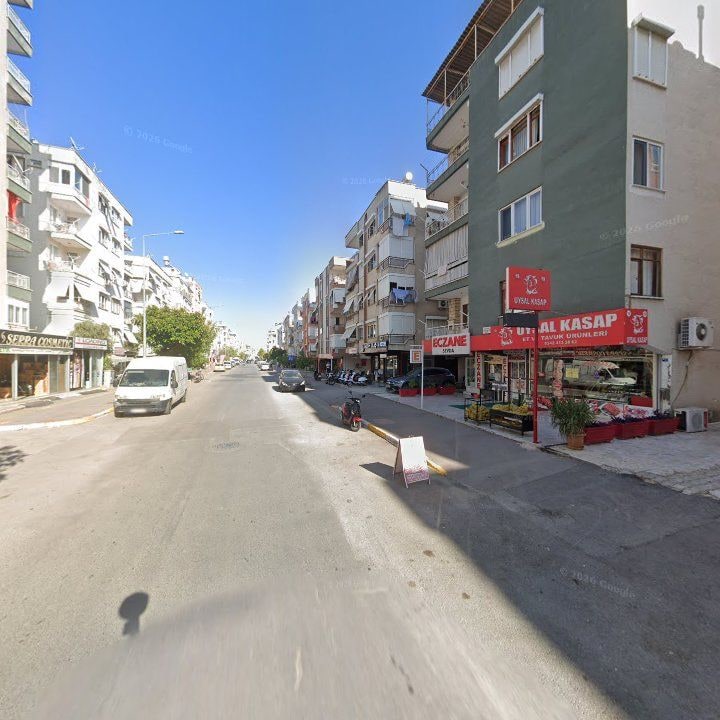 Fotoğraf 12