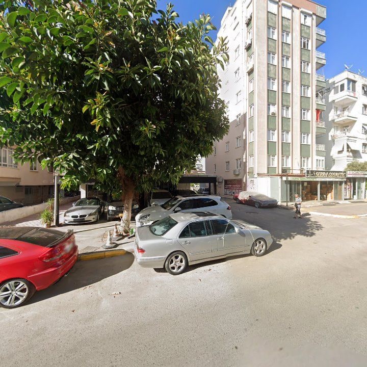 Fotoğraf 11