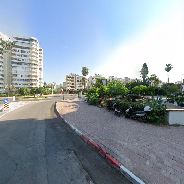 Fotoğraf 12
