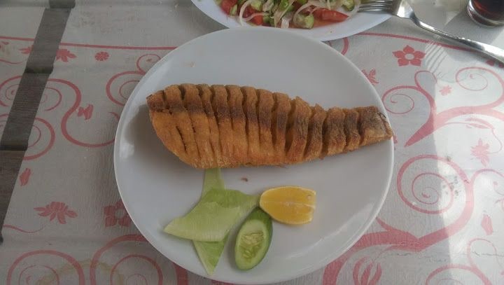Fotoğraf 2