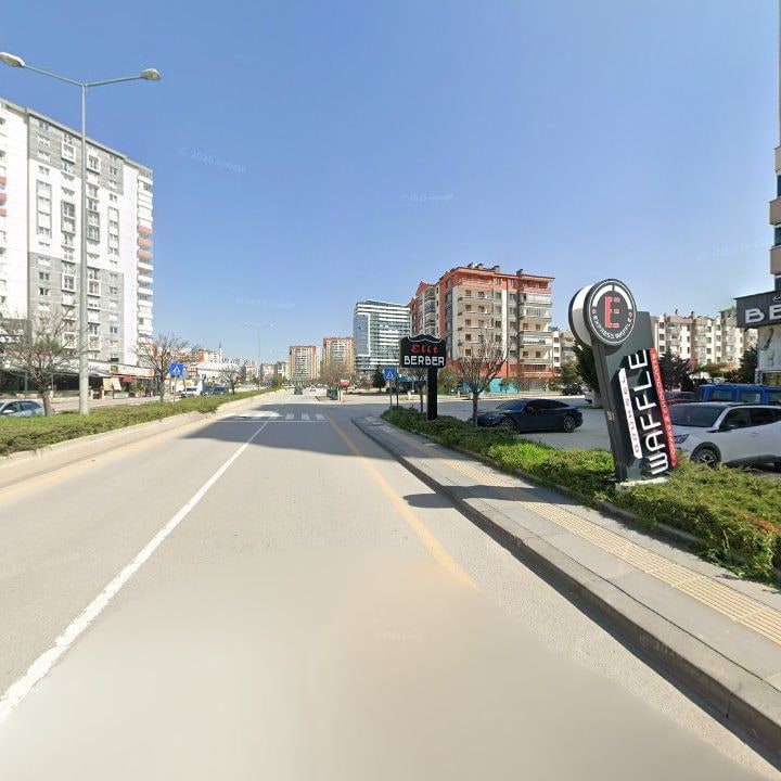 Fotoğraf 7