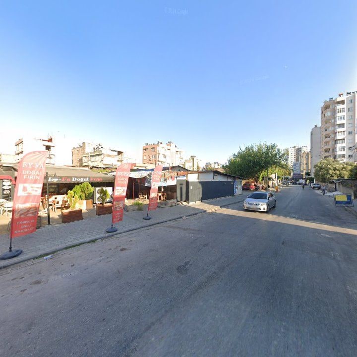 Fotoğraf 8