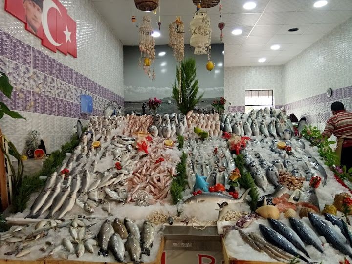 Fotoğraf 4
