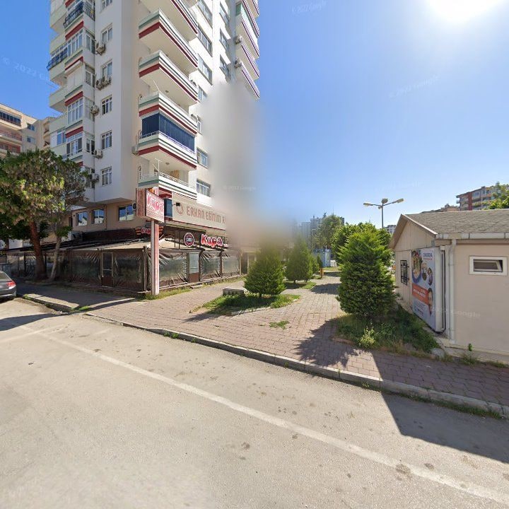Fotoğraf 10