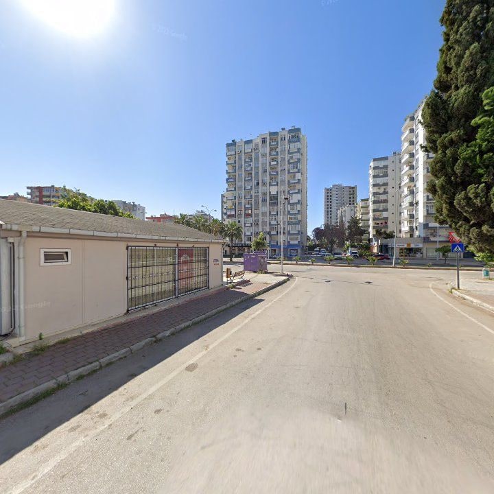 Fotoğraf 11