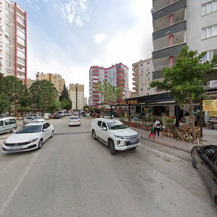Fotoğraf 11