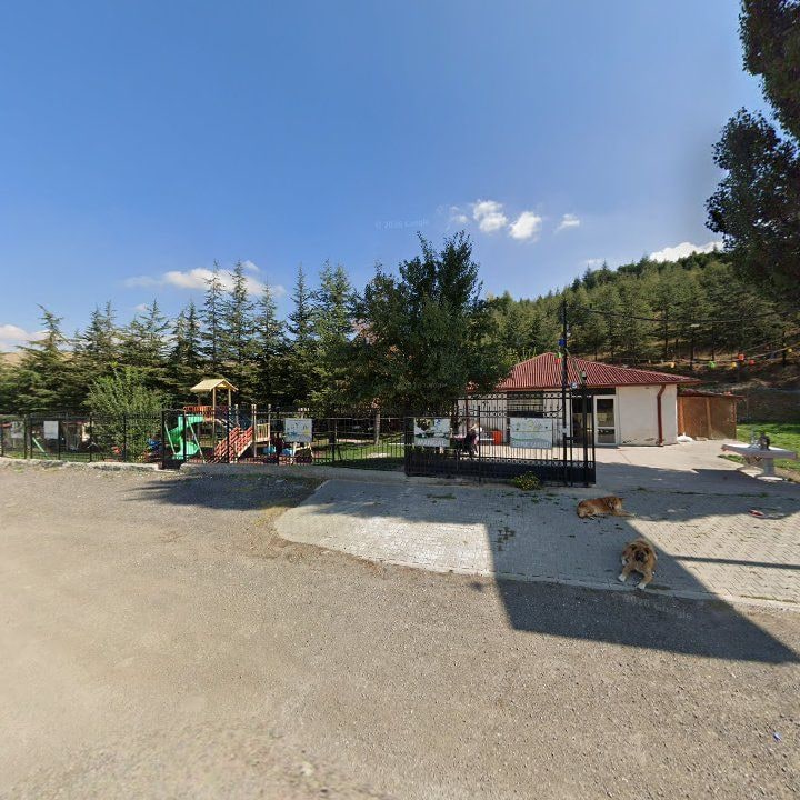 Fotoğraf 9