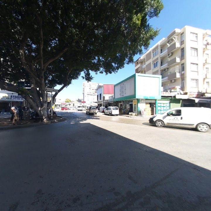 Fotoğraf 12