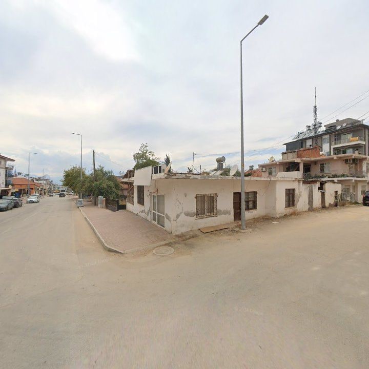 Fotoğraf 3