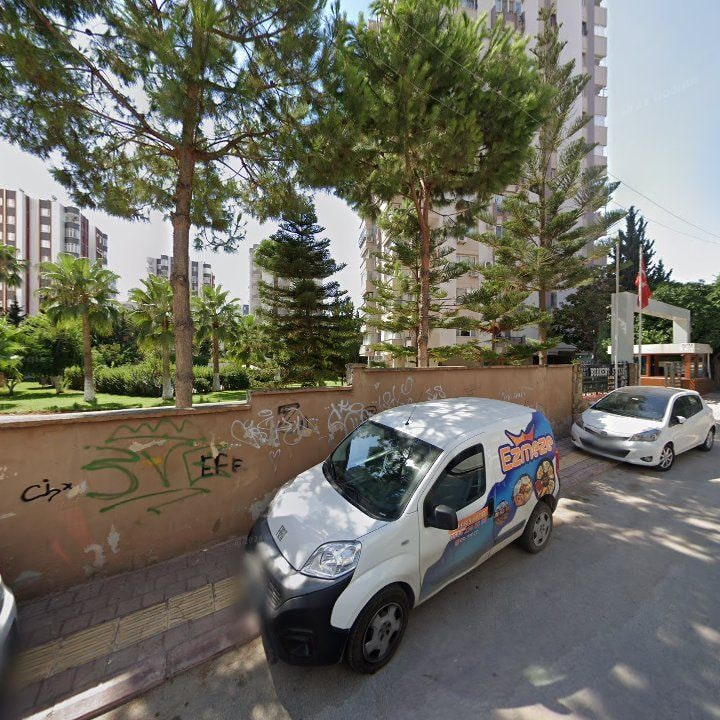 Fotoğraf 7