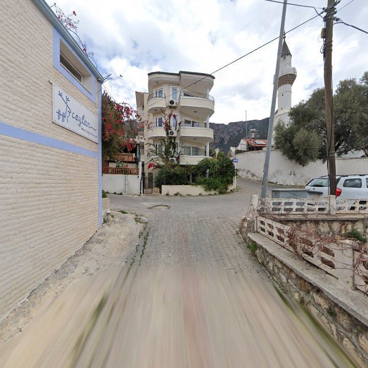 Fotoğraf 10
