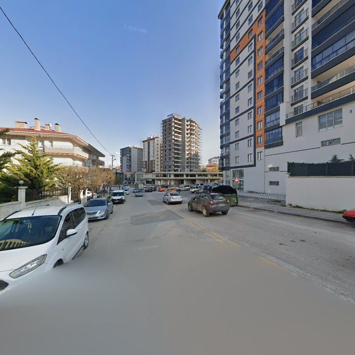Fotoğraf 10