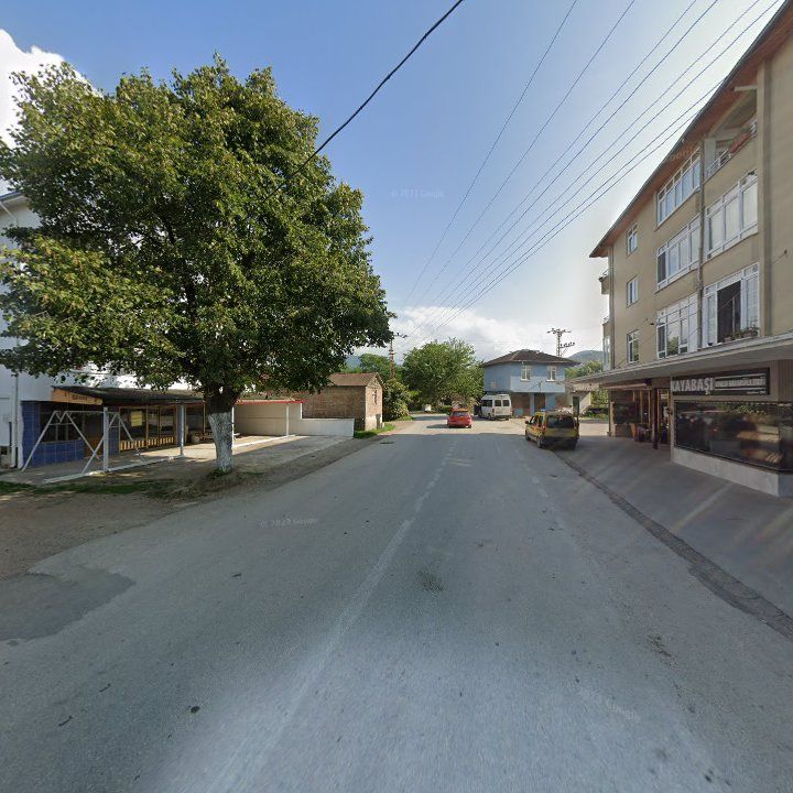 Fotoğraf 5